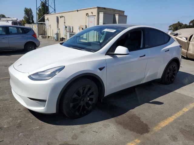  Salvage Tesla Model Y