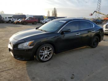  Salvage Nissan Maxima