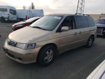  Salvage Honda Odyssey