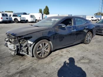  Salvage Nissan Maxima