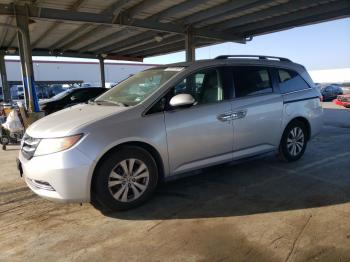 Salvage Honda Odyssey