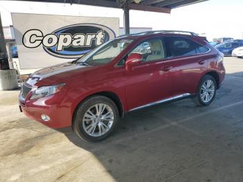  Salvage Lexus RX