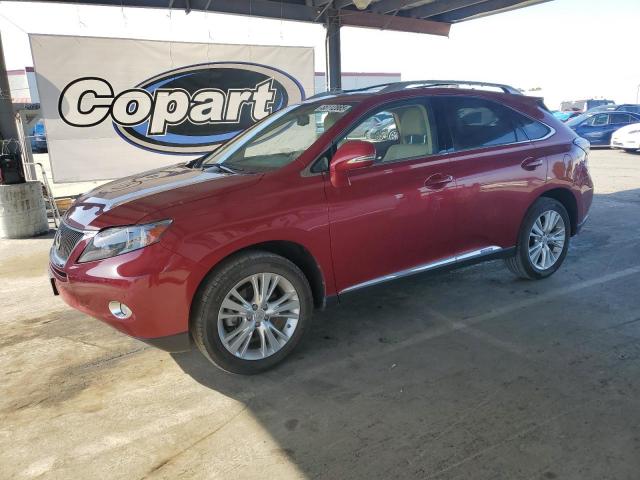  Salvage Lexus RX
