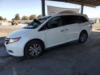  Salvage Honda Odyssey