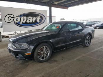  Salvage Ford Mustang