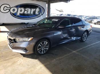  Salvage Honda Accord