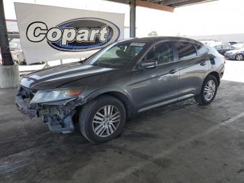  Salvage Honda Crosstour