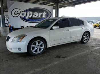  Salvage Nissan Maxima