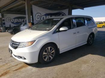  Salvage Honda Odyssey