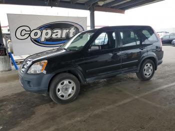  Salvage Honda Crv