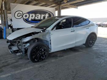  Salvage Tesla Model Y