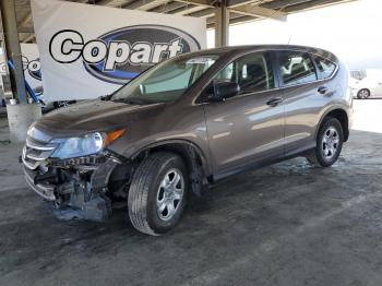  Salvage Honda Crv