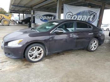  Salvage Nissan Maxima