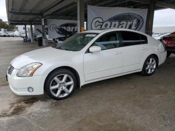  Salvage Nissan Maxima