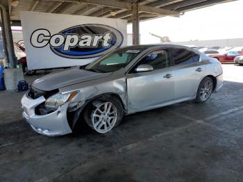  Salvage Nissan Maxima