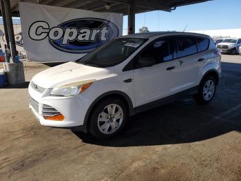  Salvage Ford Escape