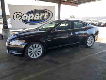  Salvage Jaguar XF
