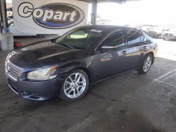  Salvage Nissan Maxima
