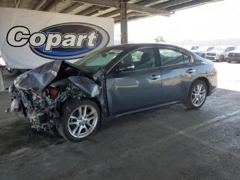  Salvage Nissan Maxima