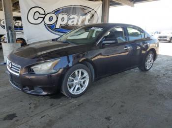  Salvage Nissan Maxima