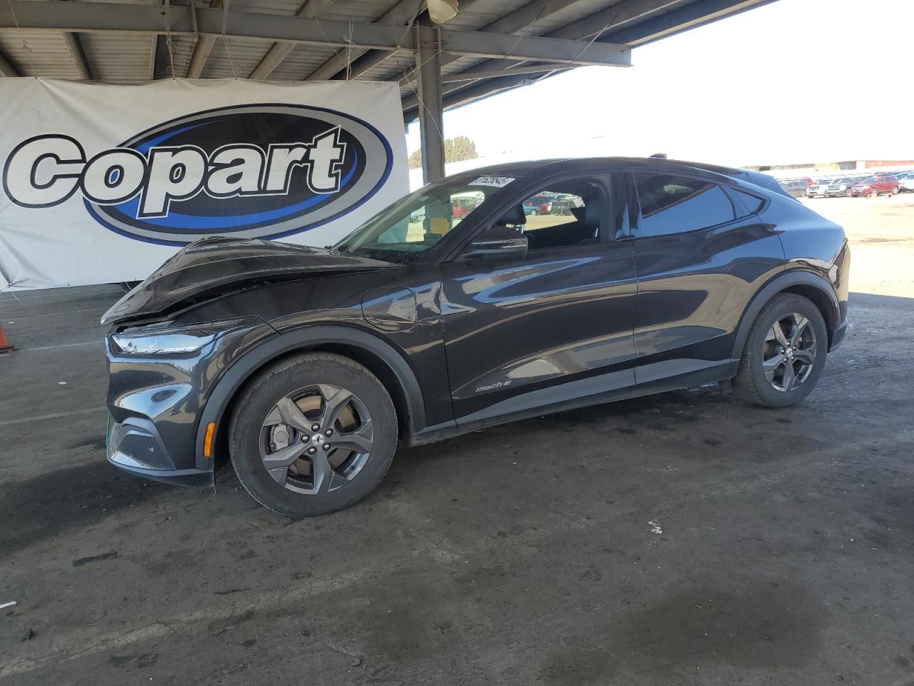 Ford Mustang Select Image 1