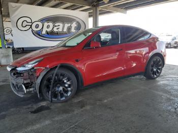  Salvage Tesla Model Y