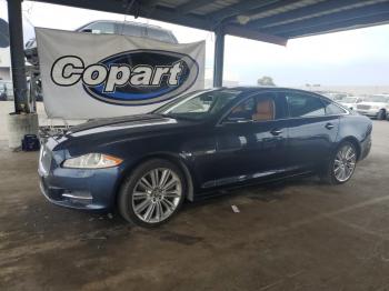  Salvage Jaguar XJ