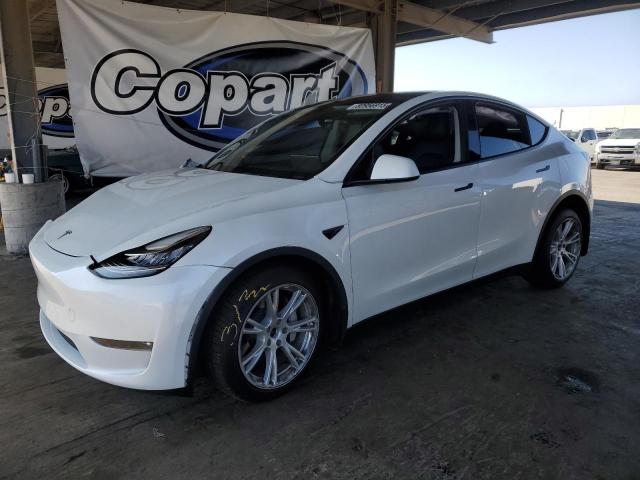  Salvage Tesla Model Y