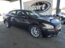 Nissan Maxima S Image 6