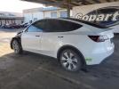 Tesla Model Y Image 6