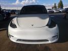 Tesla Model Y Image 2