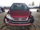 Honda Crv Exl Image 2