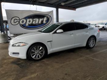  Salvage Jaguar XF