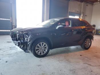  Salvage Lexus NX