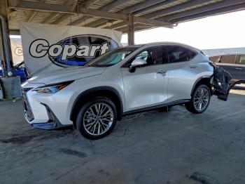  Salvage Lexus NX