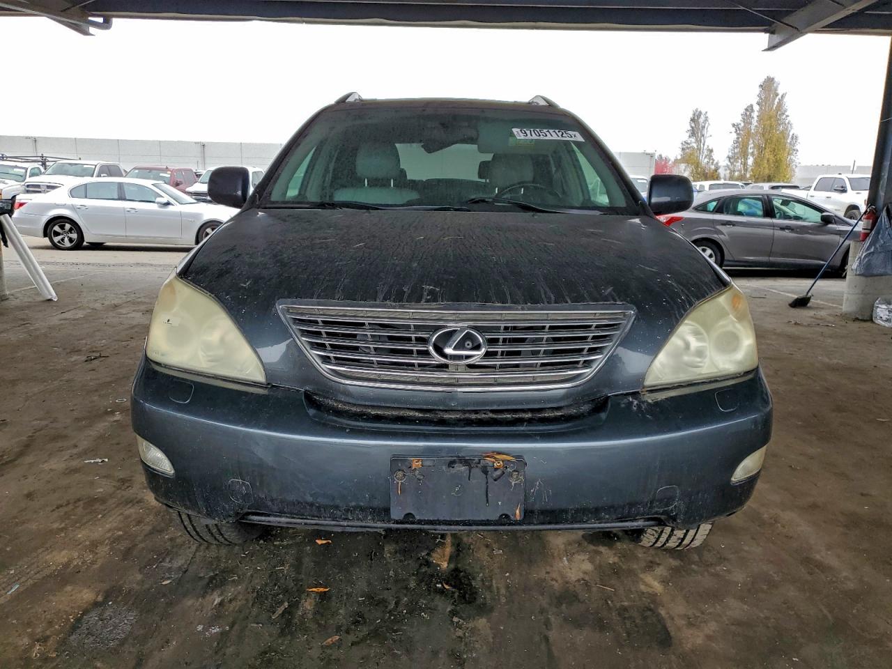 Lexus RX 330 Image 10