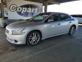  Salvage Nissan Maxima