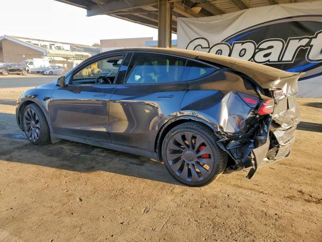 Tesla Model Y Image 2