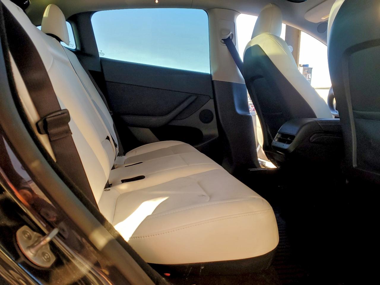 Tesla Model Y Image 5