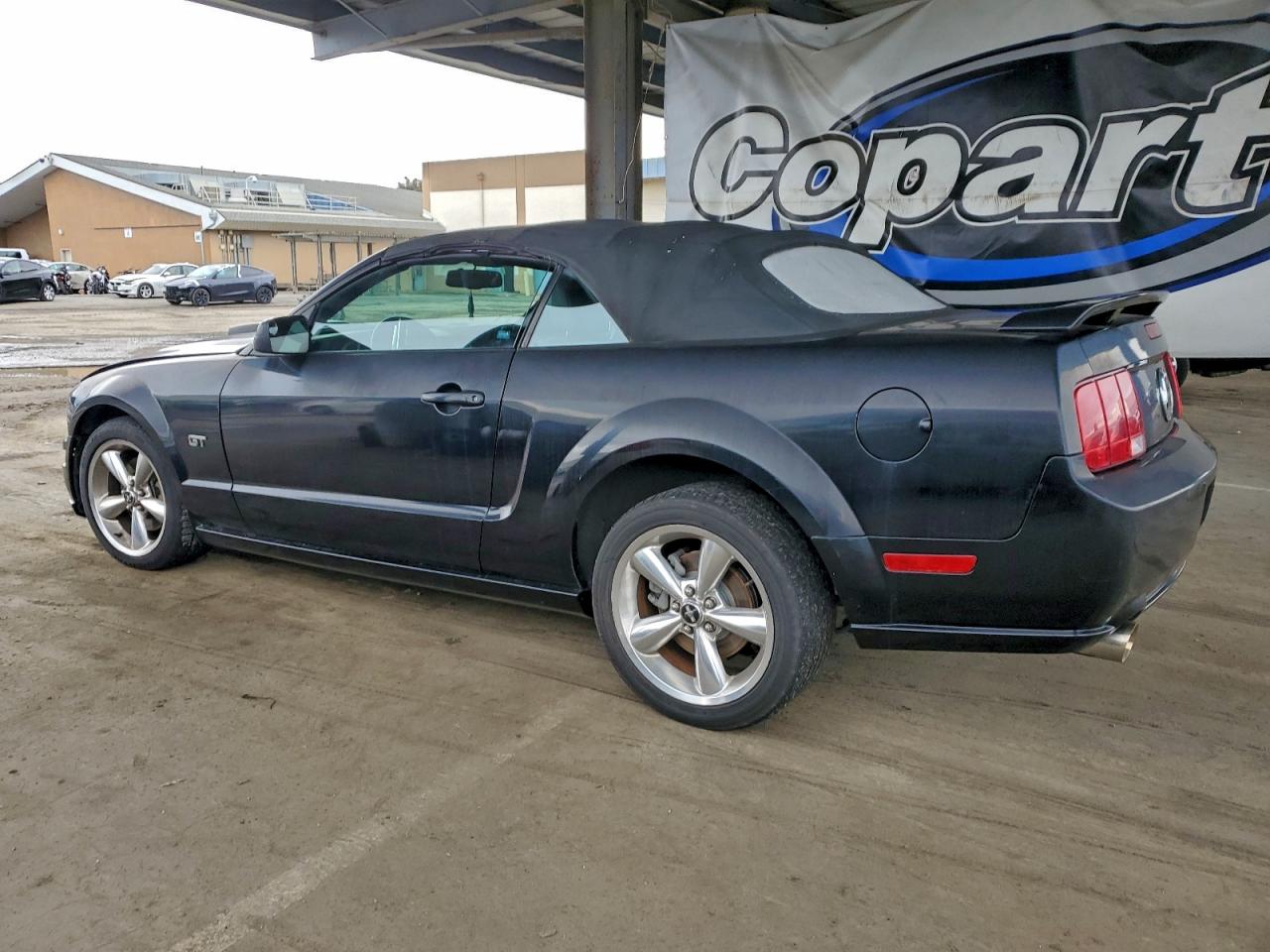 Ford Mustang Gt Image 11