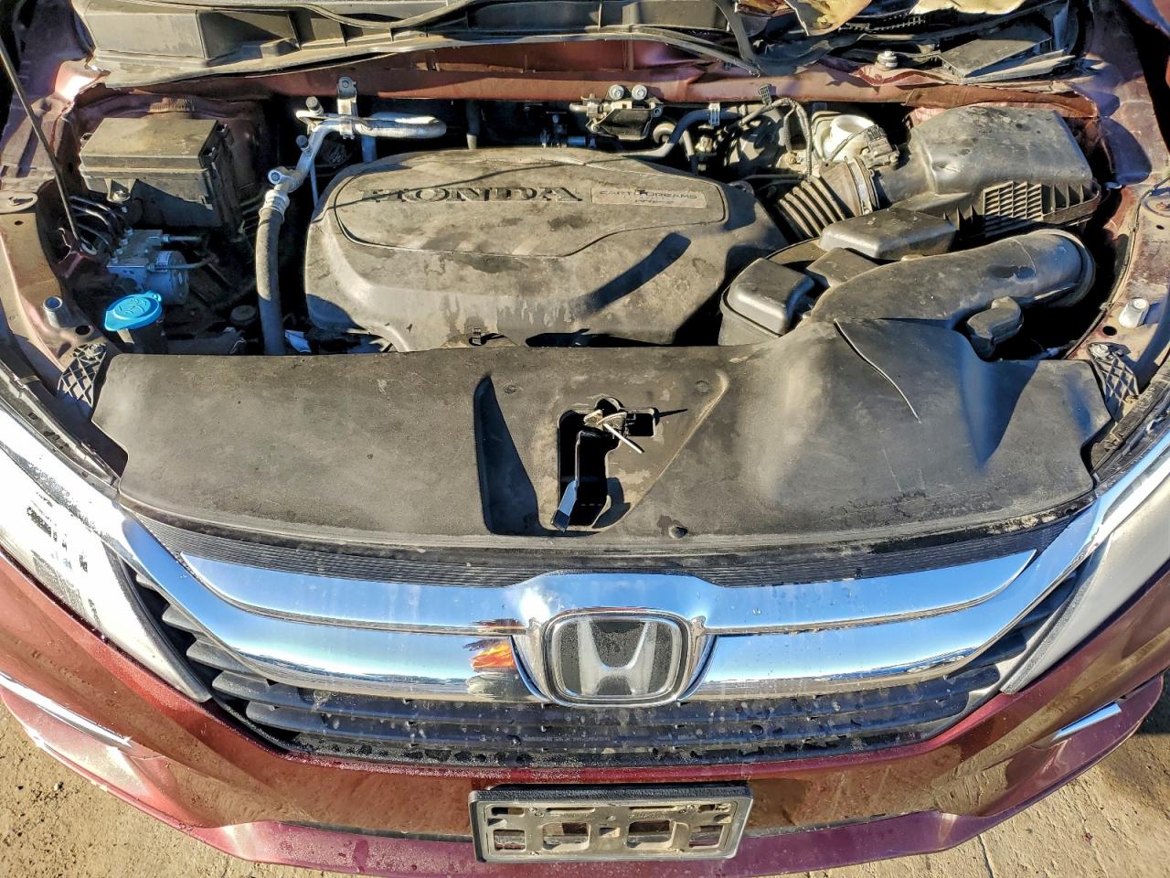 Honda Odyssey Elite Image 9