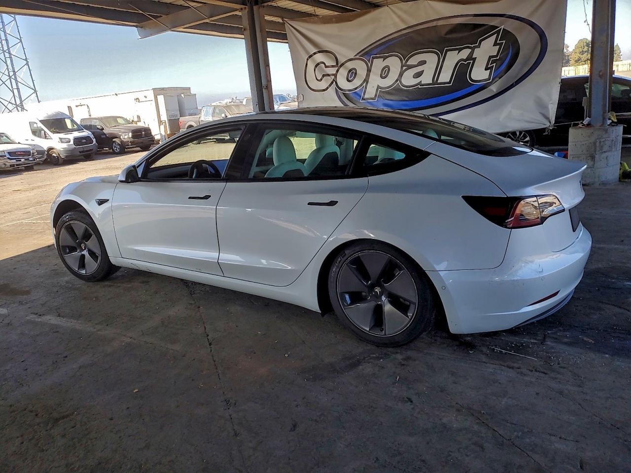 Tesla Model 3 Image 8