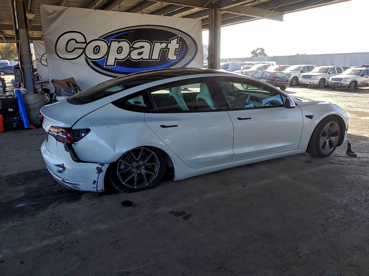 Tesla Model 3 Image 6