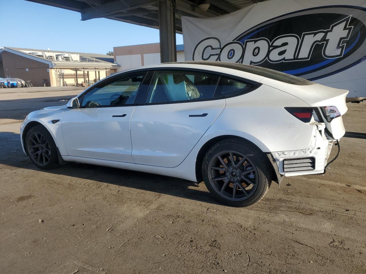 Tesla Model 3 Image 2